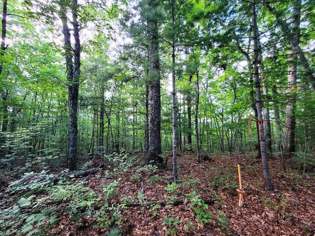 Lot 21 Rye Field Rd Property Photo 21