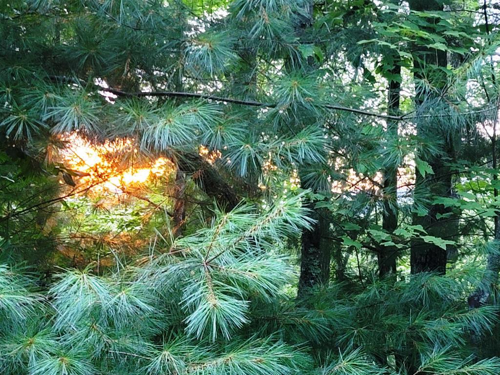 Lot 21 Rye Field Rd Property Photo 22