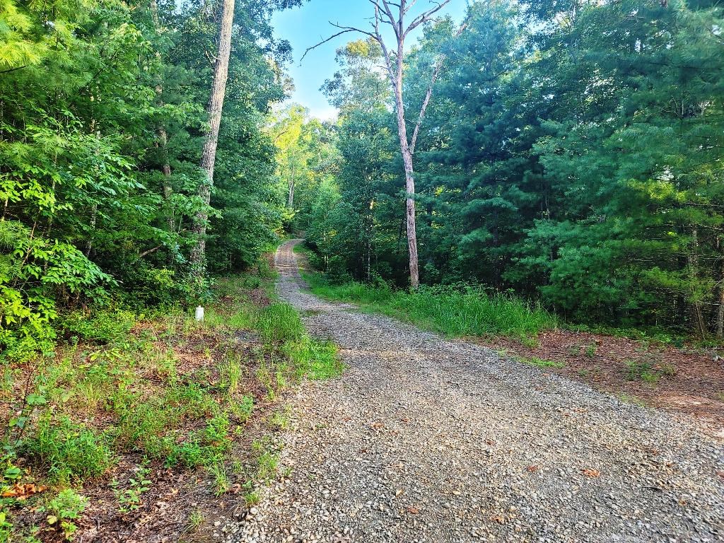 Lot 21 Rye Field Rd Property Photo 23