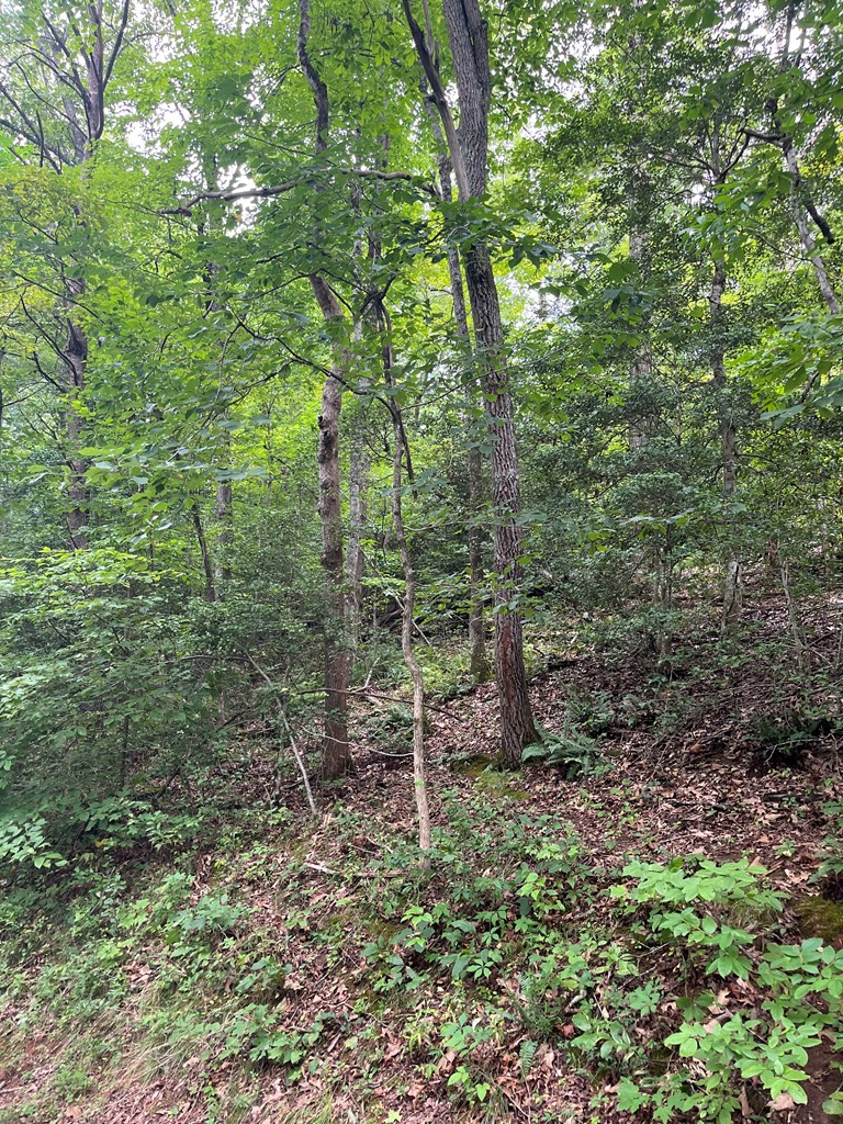 143339 Property Photo 2