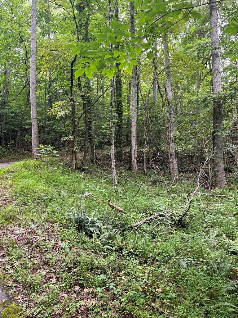 143339 Property Photo 3