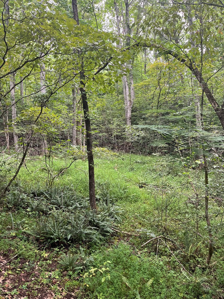 143339 Property Photo 4