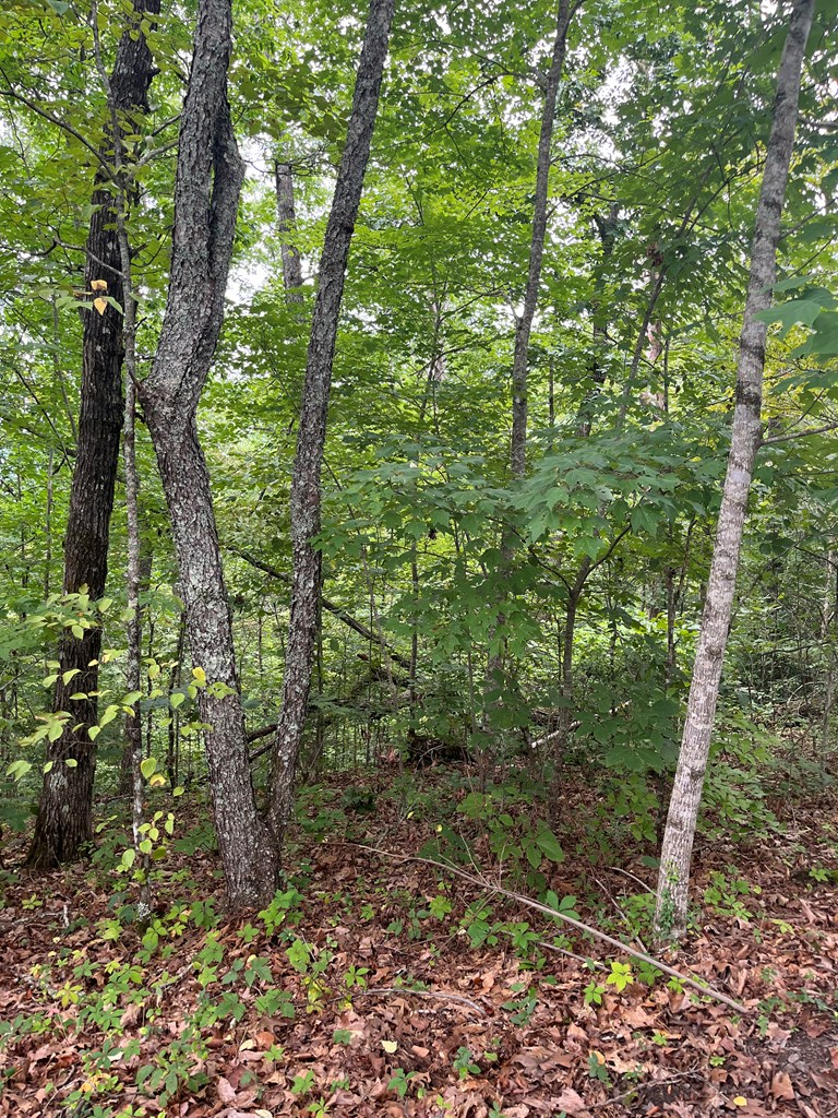 143339 Property Photo 6