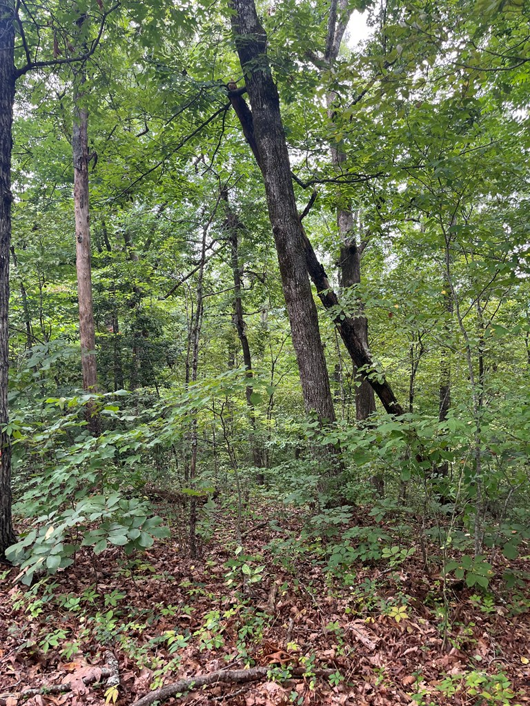 143339 Property Photo 7