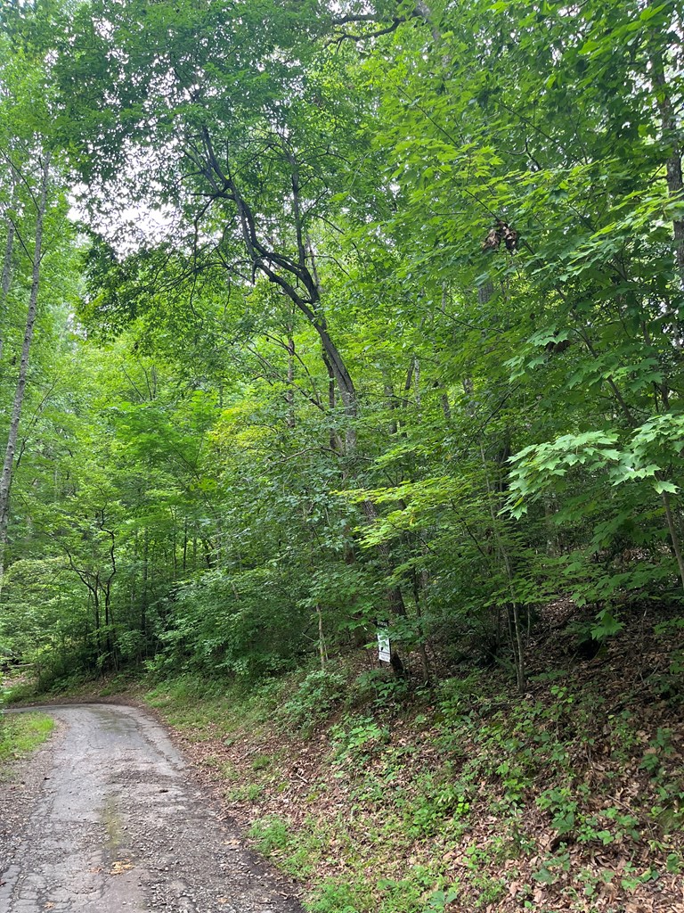 143339 Property Photo 13