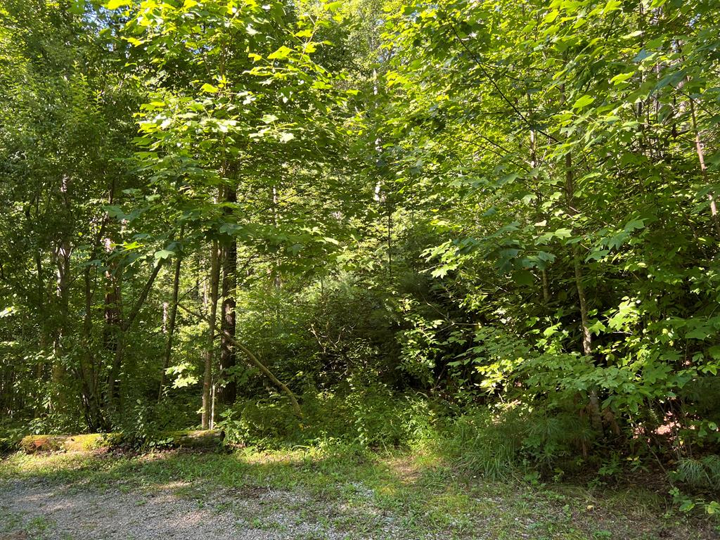 Tbd Moms Falls Property Photo