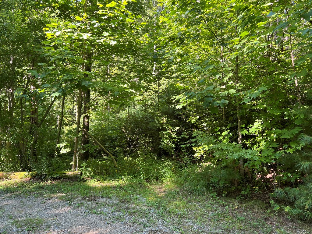 Tbd Moms Falls Property Photo 2