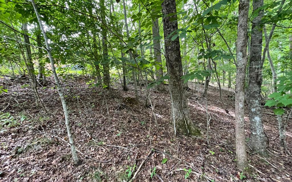 Lot 3 Morgan Creek Property Photo