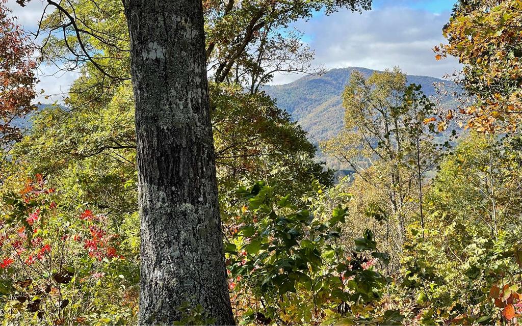 Lot 18 Harris Ridge Rd Property Photo