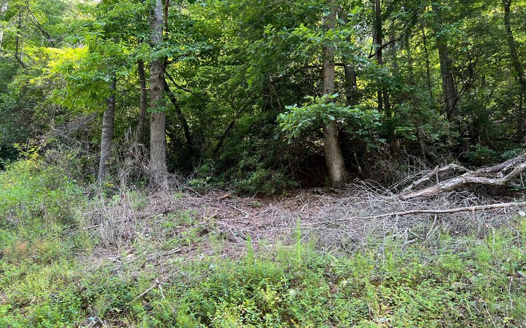 Tr 1 Fires Creek Cove Property Photo 1