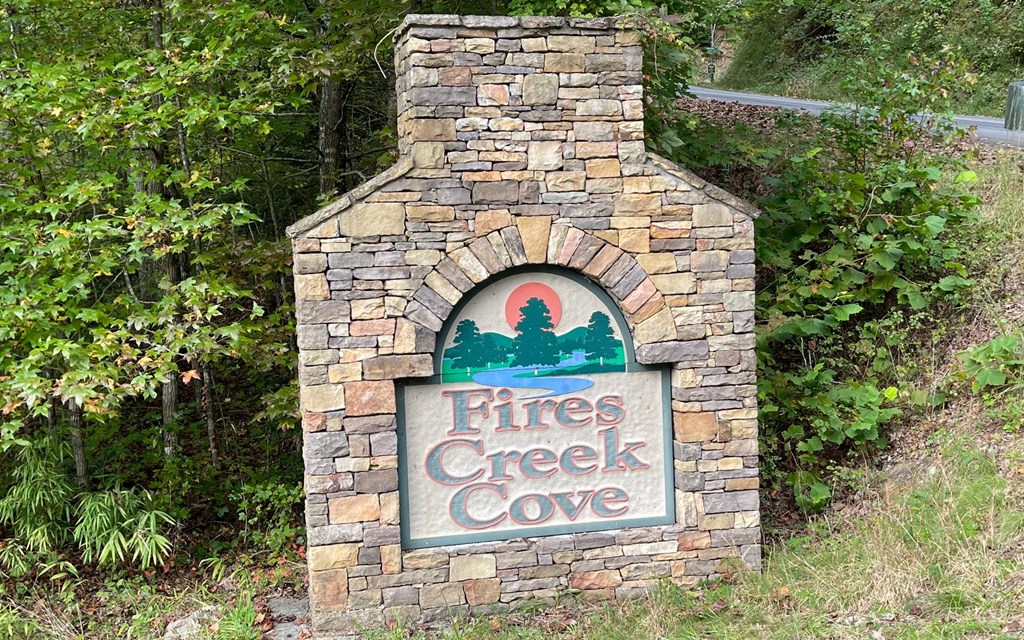 Tr 1 Fires Creek Cove Property Photo 3