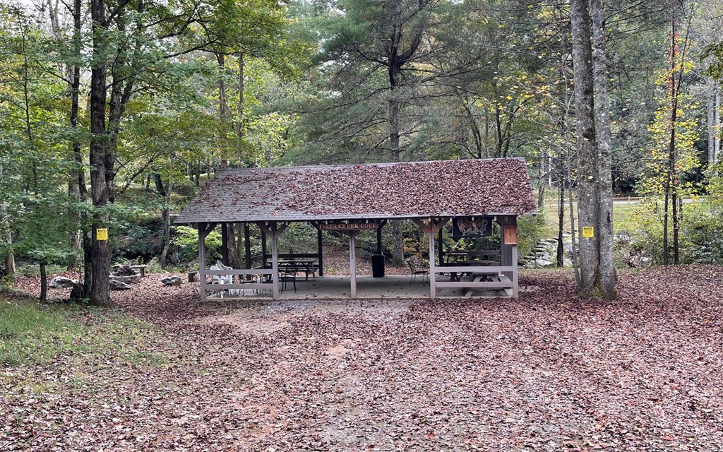 Tr 1 Fires Creek Cove Property Photo 4