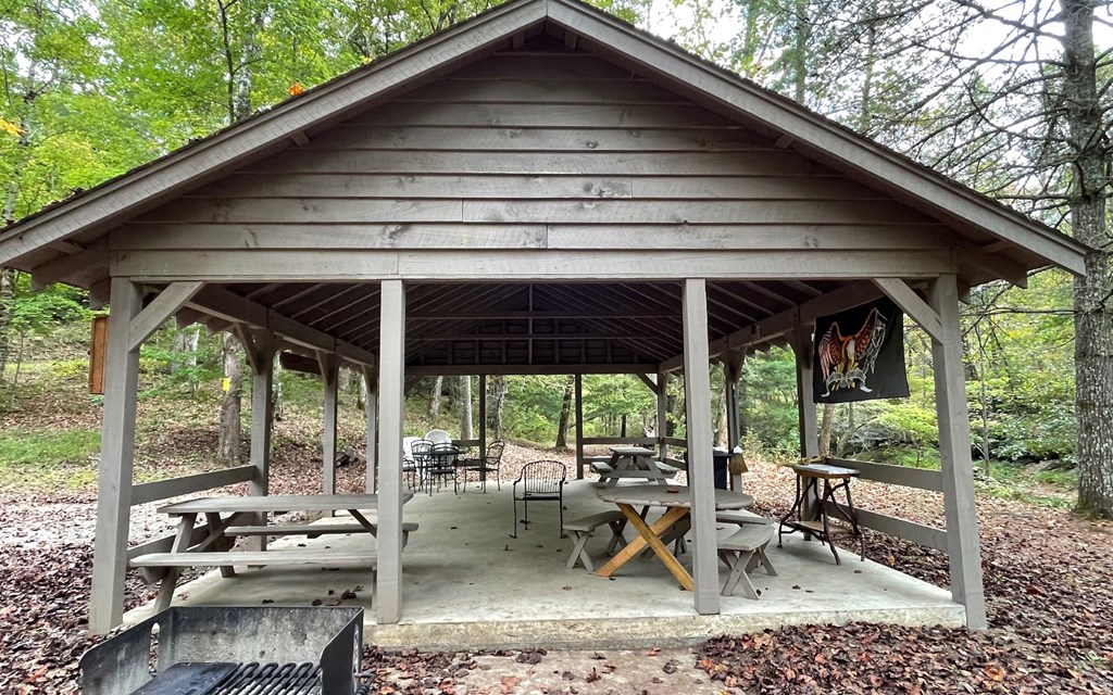 Tr 1 Fires Creek Cove Property Photo 6