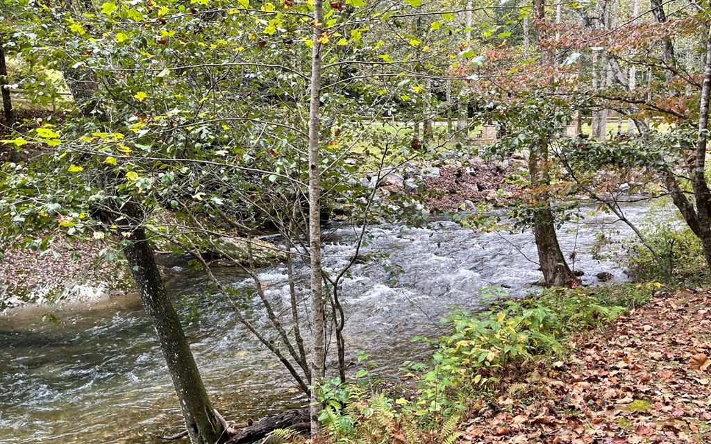 Tr 1 Fires Creek Cove Property Photo 8