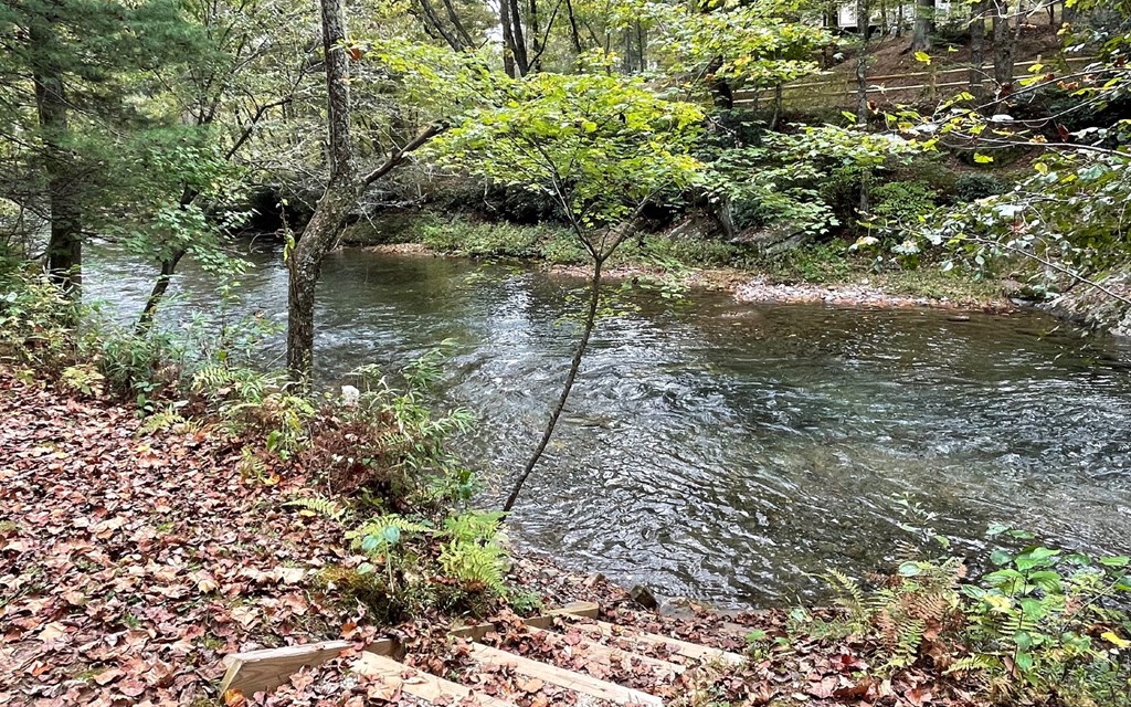 Tr 1 Fires Creek Cove Property Photo 9