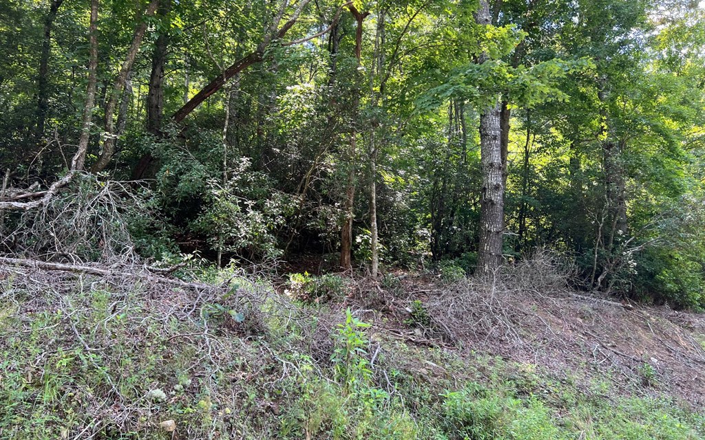 Tr 1 Fires Creek Cove Property Photo 14