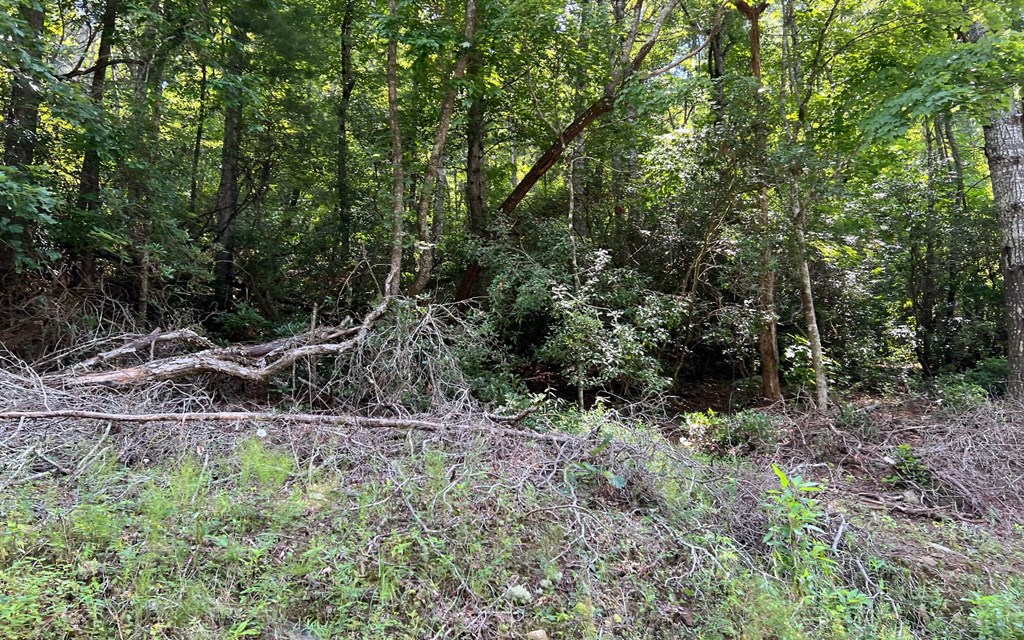 Tr 1 Fires Creek Cove Property Photo 15