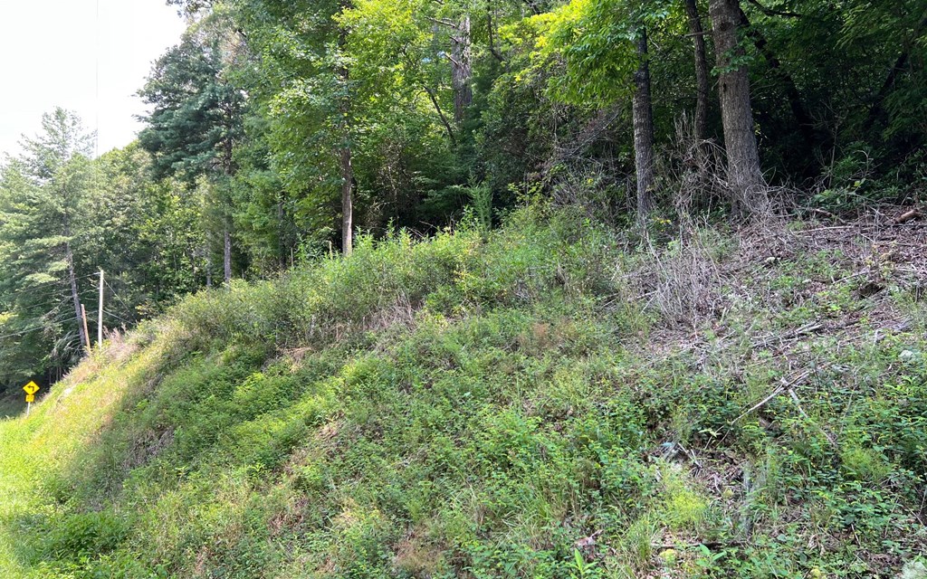 Tr 1 Fires Creek Cove Property Photo 19
