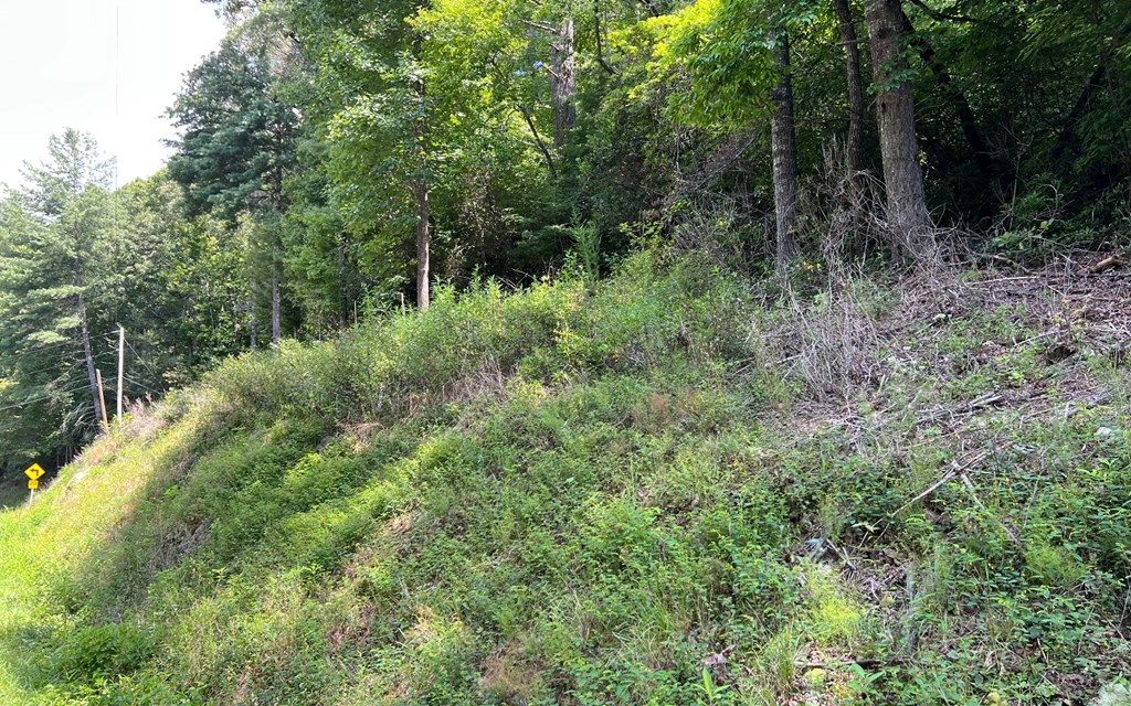 Tr 1 Fires Creek Cove Property Photo 20