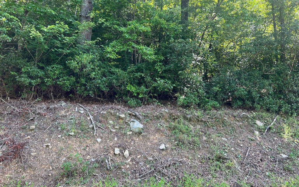 Tr 1 Fires Creek Cove Property Photo 22