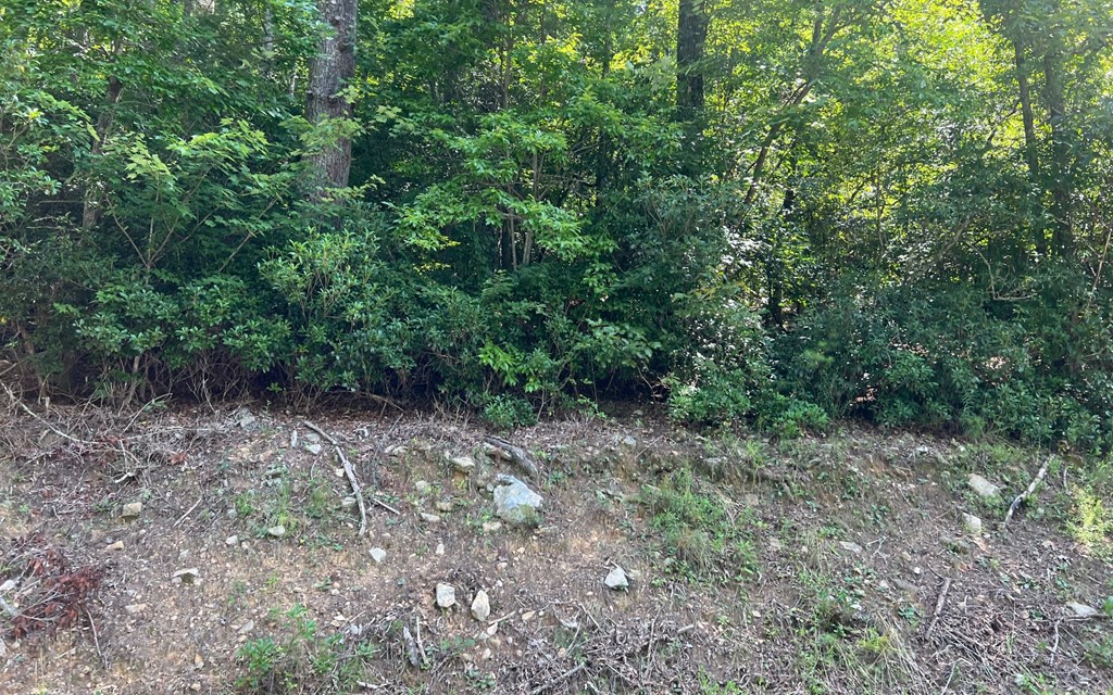 Tr 1 Fires Creek Cove Property Photo 23