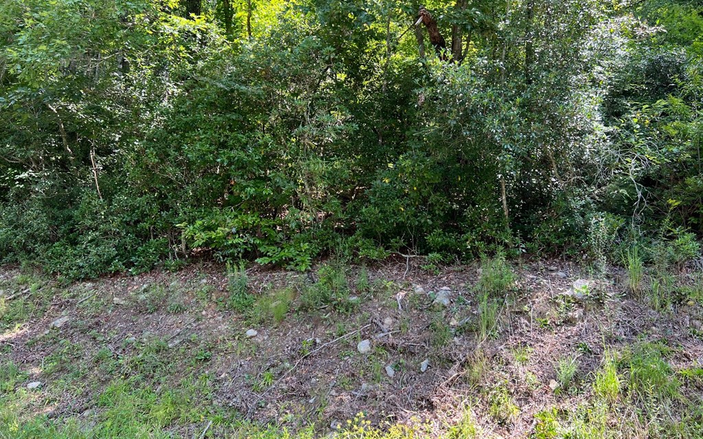 Tr 1 Fires Creek Cove Property Photo 25