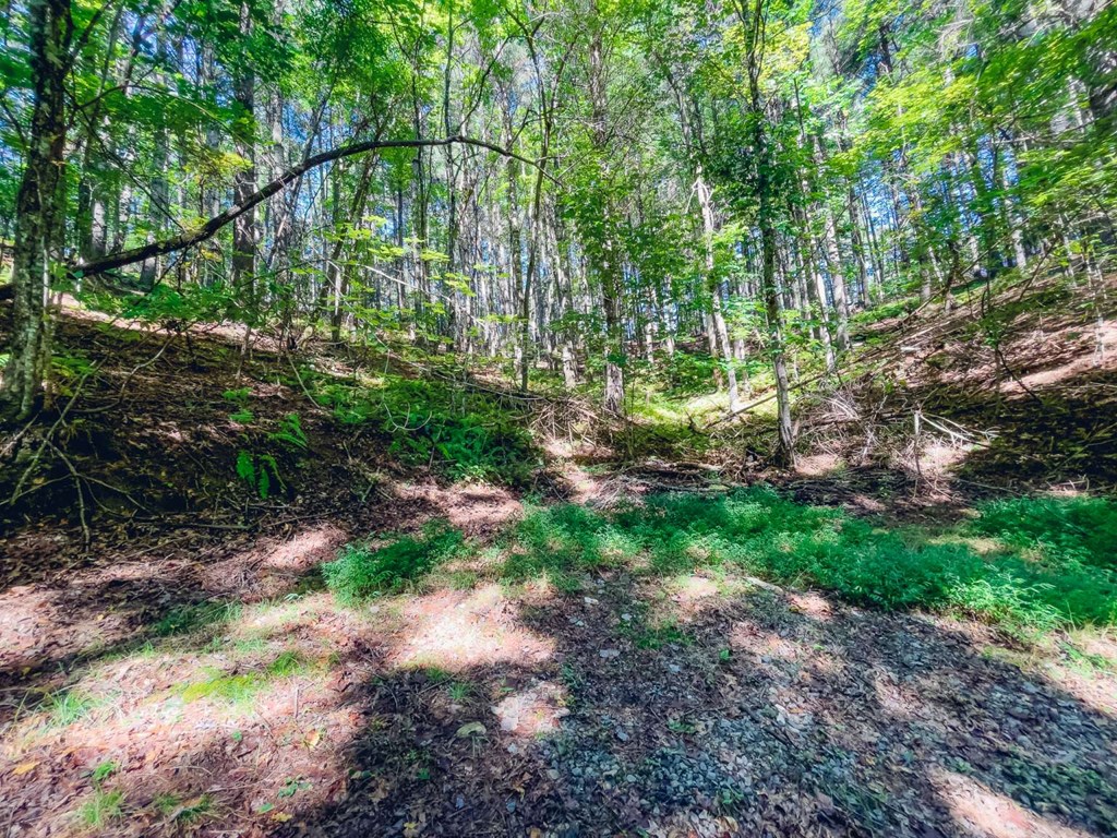 0 Laurelwood Circle Property Photo 2