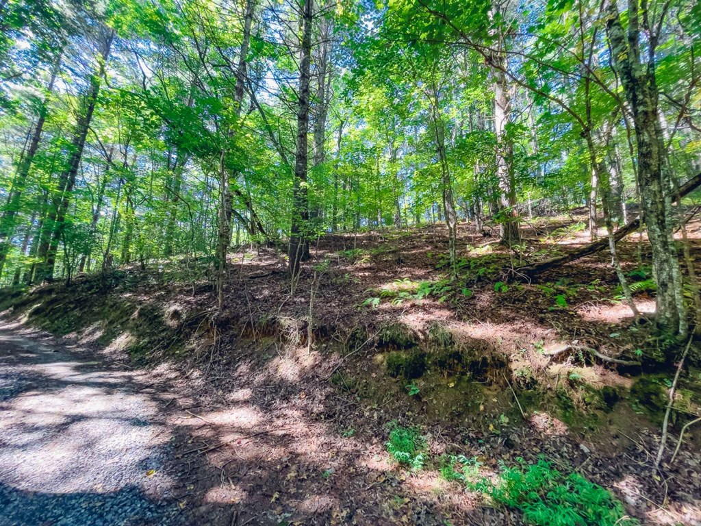 0 Laurelwood Circle Property Photo 3
