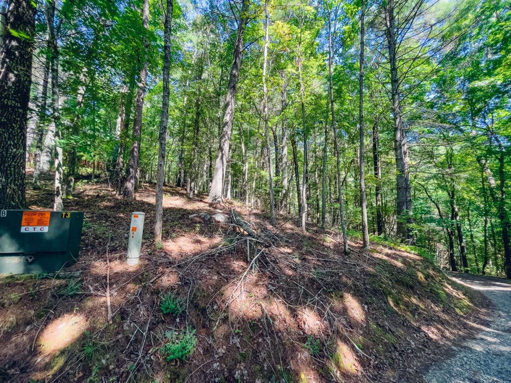 0 Laurelwood Circle Property Photo 4