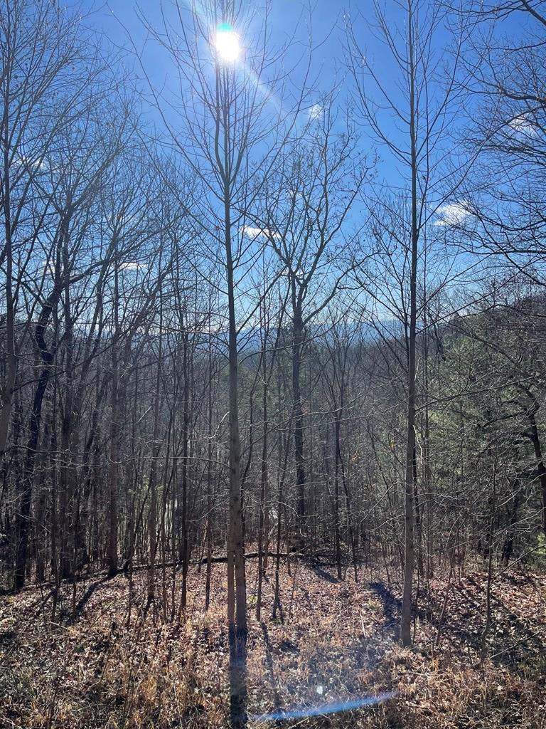 Lt 45/51 Wolf Mountain Property Photo 3