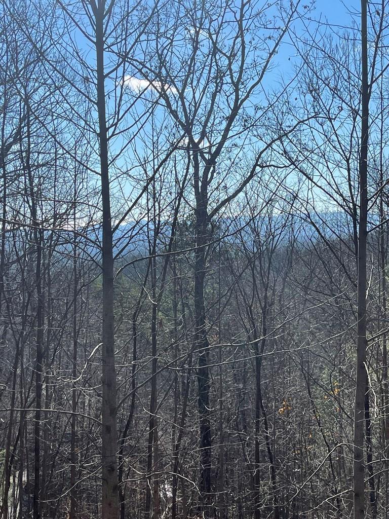 Lt 45/51 Wolf Mountain Property Photo 4