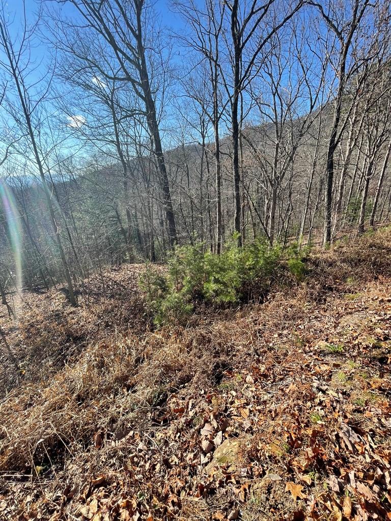 Lt 45/51 Wolf Mountain Property Photo 6