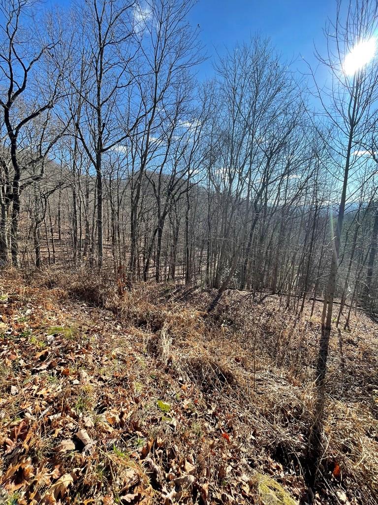Lt 45/51 Wolf Mountain Property Photo 7
