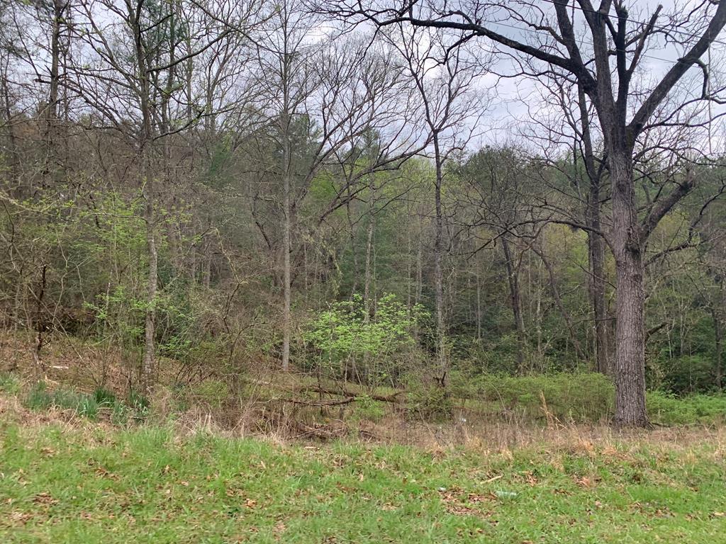 101 River Mountain Drive Property Photo 1