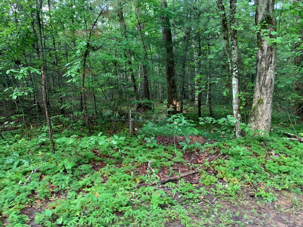 101 River Mountain Drive Property Photo 2