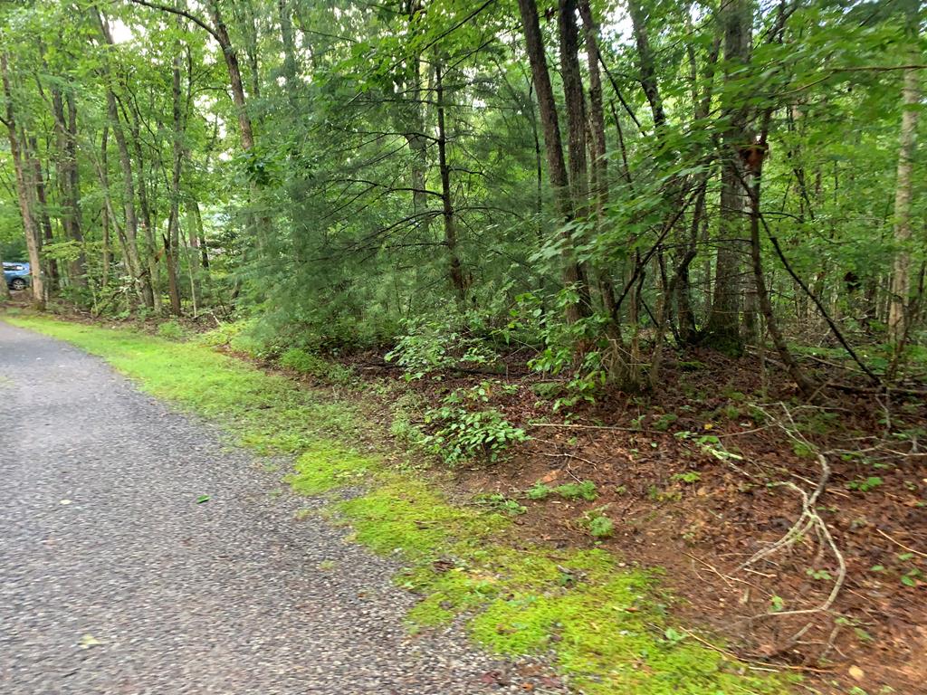 101 River Mountain Drive Property Photo 3