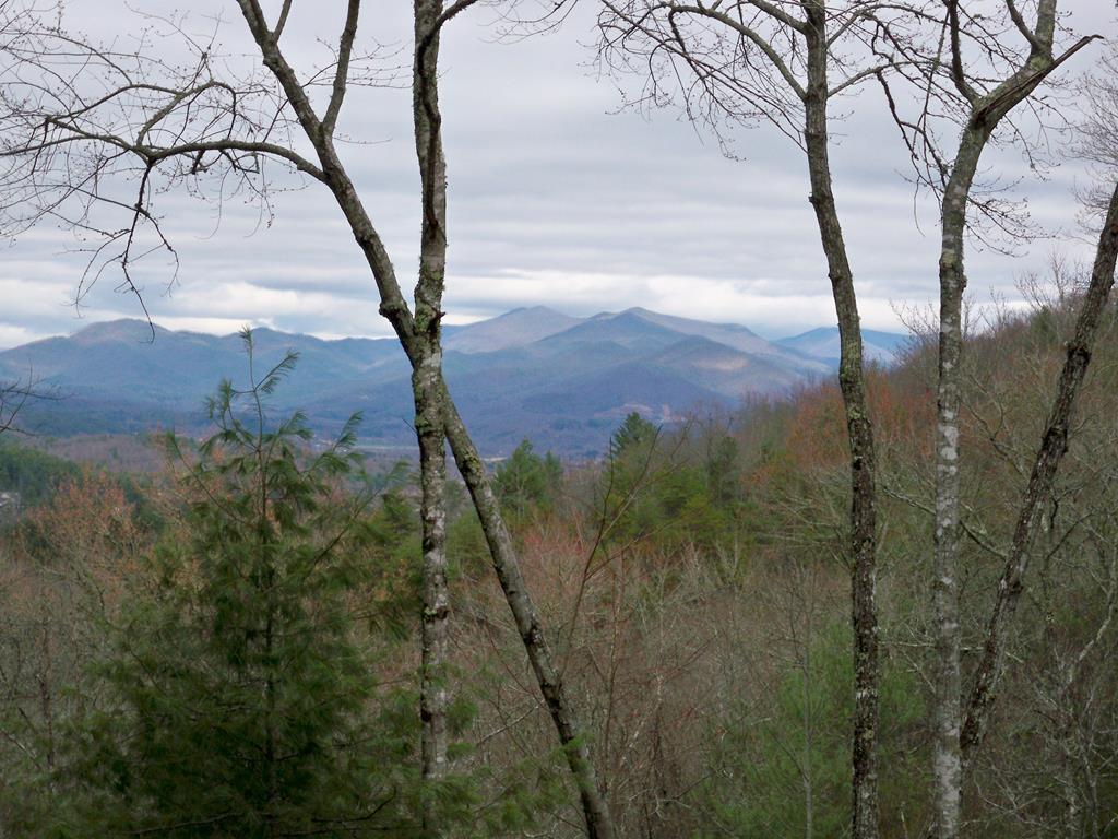 101 River Mountain Drive Property Photo 4