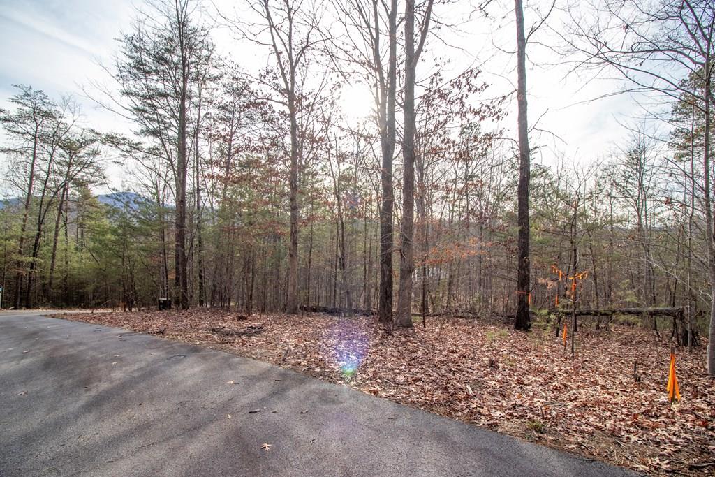 16 Kennelly Loop Property Photo 1