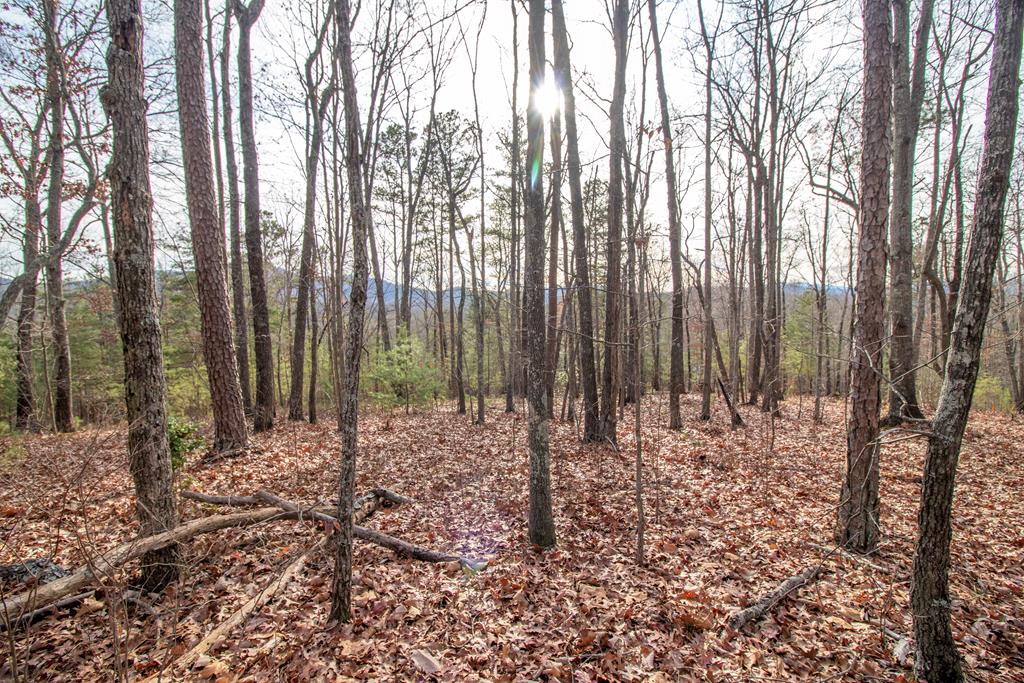 17 Kennelly Loop Property Photo 1