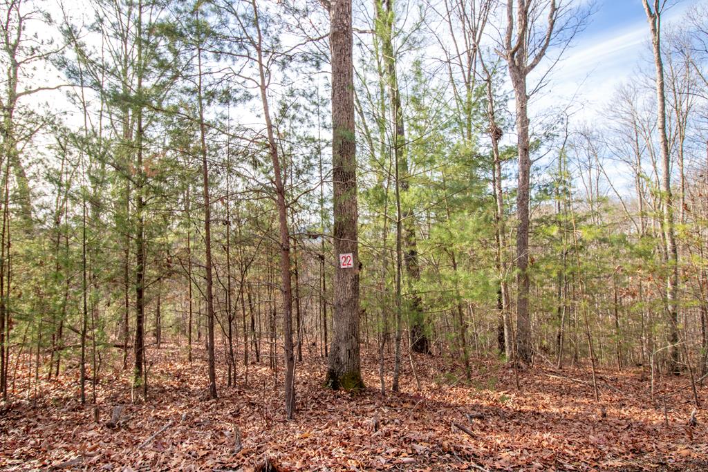 22 Kennelly Loop Property Photo 1
