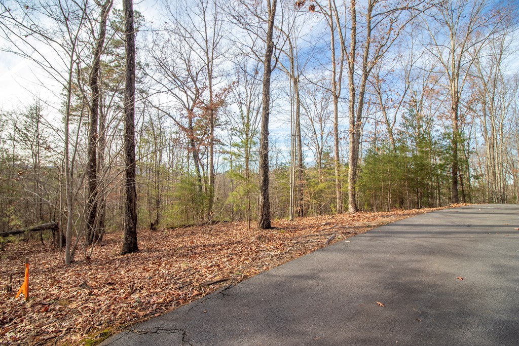 22 Kennelly Loop Property Photo 3