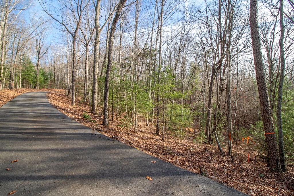 23 Kennelly Loop Property Photo 2