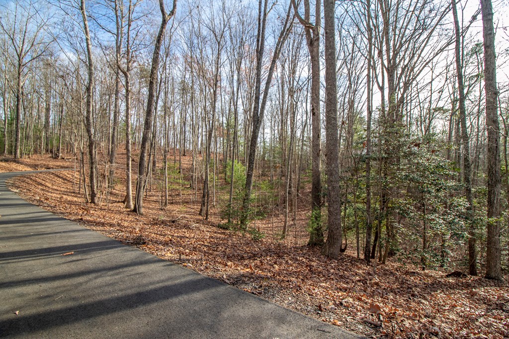 23 Kennelly Loop Property Photo 5