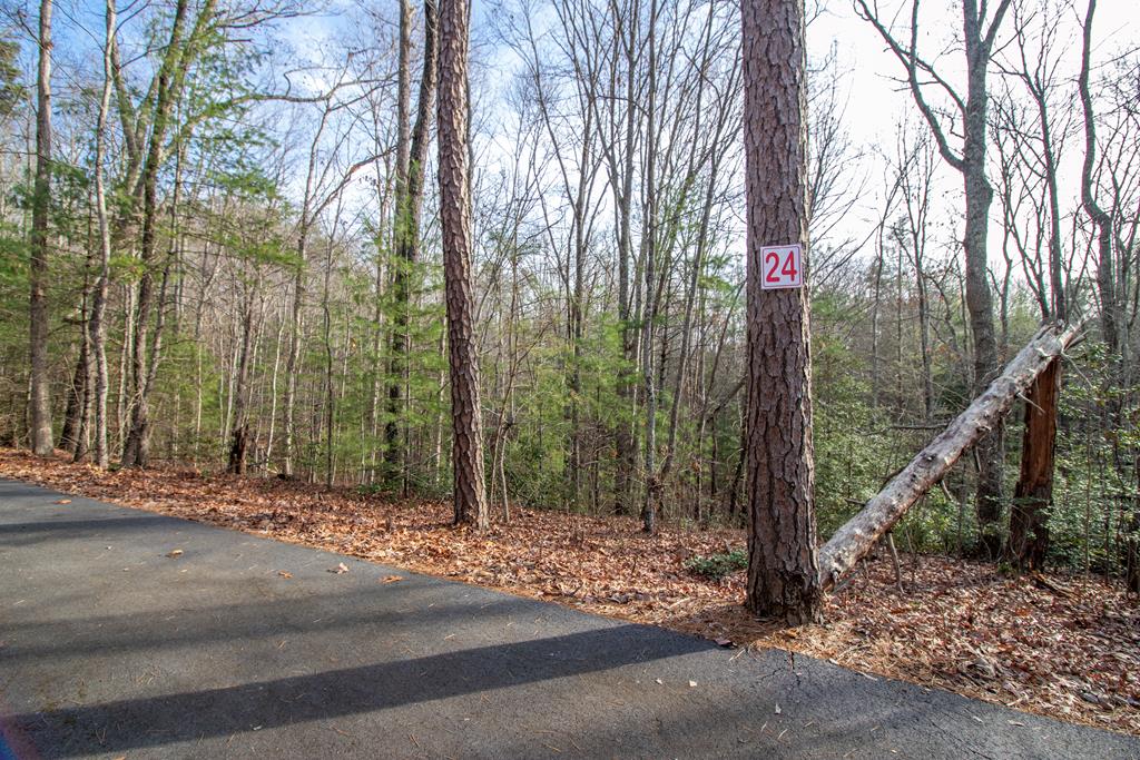 24 Kennelly Loop Property Photo 1