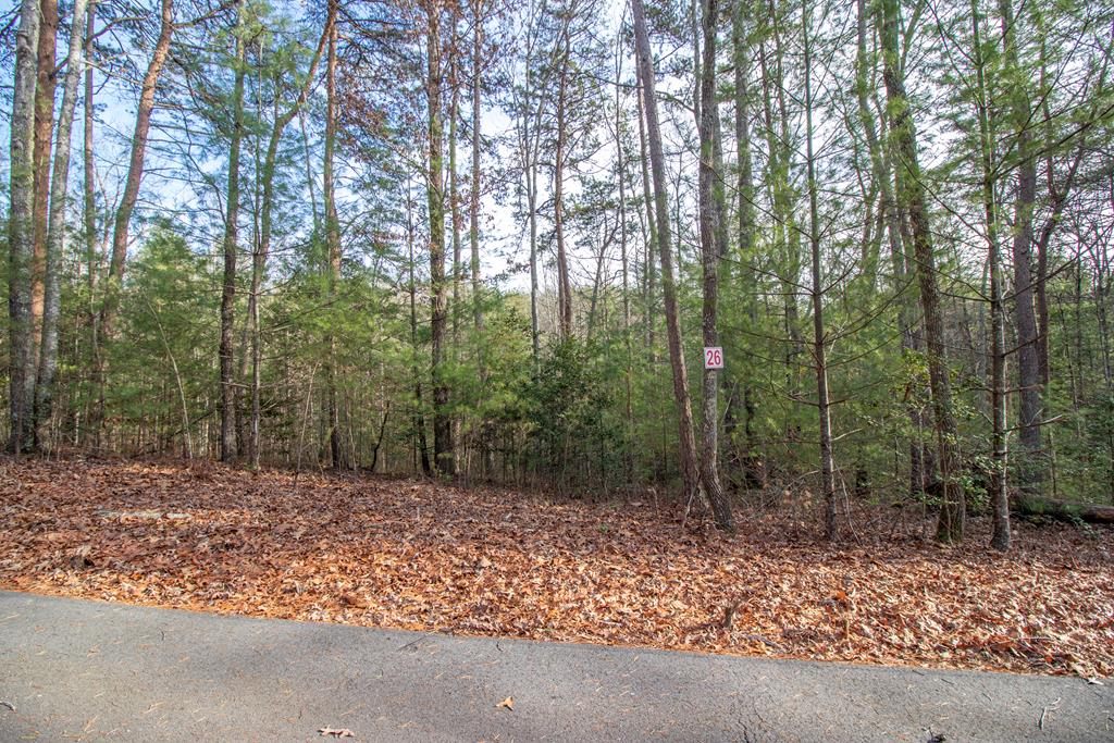 26 Kennelly Loop Property Photo 1