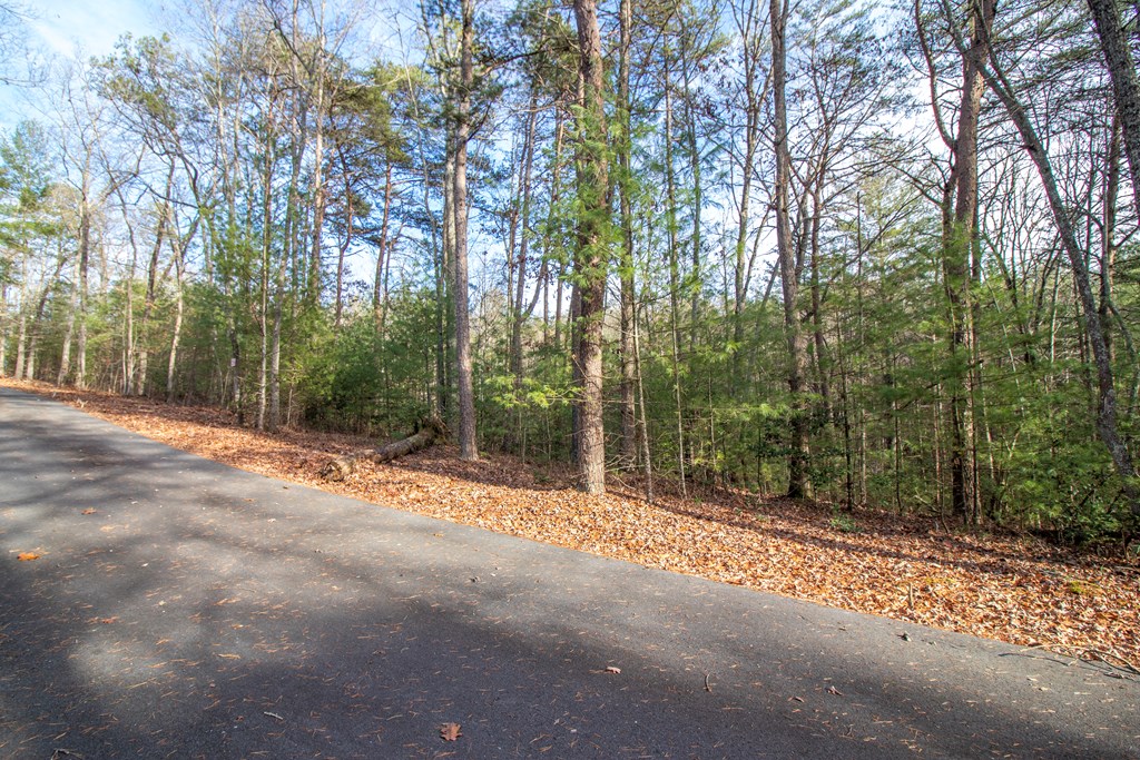 26 Kennelly Loop Property Photo 3