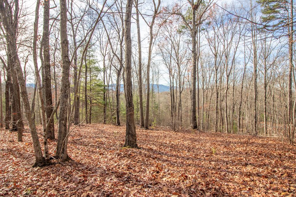 40 Kennelly Loop Property Photo 1