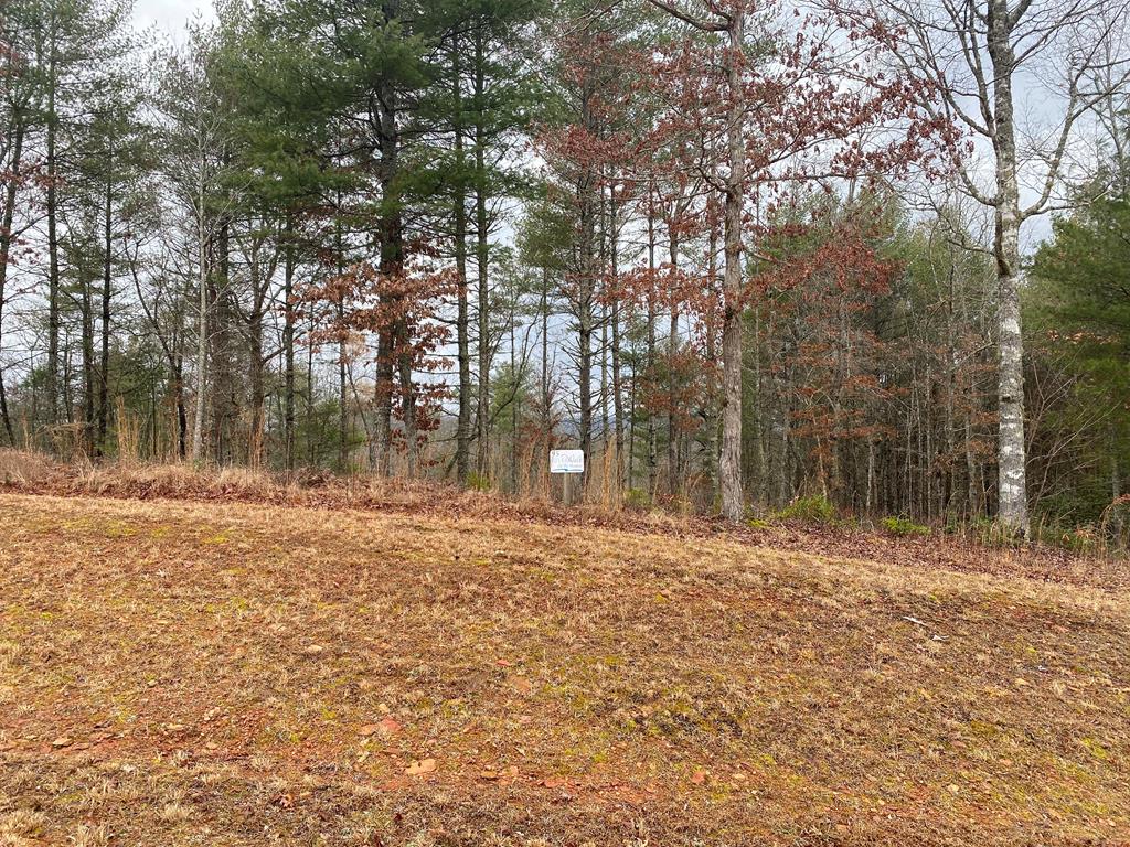 Lot 95 River Mountain Road Property Photo 1