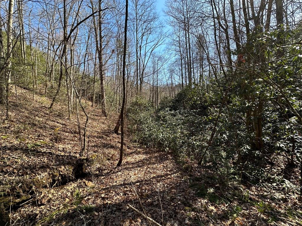 Lt 7 Valley View Heights Property Photo 1