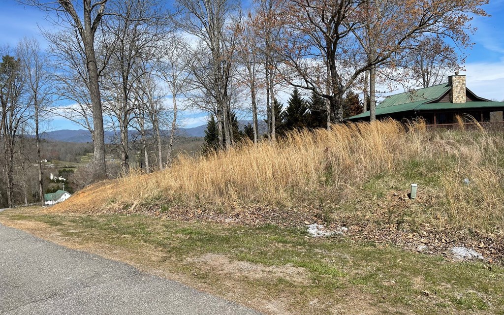 Lot 8 Cabin Drive Property Photo 6